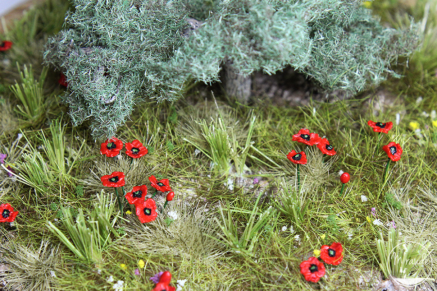 Olivier et coquelicots détails 1