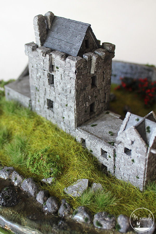 Détail 1 - Château de Dunguaire