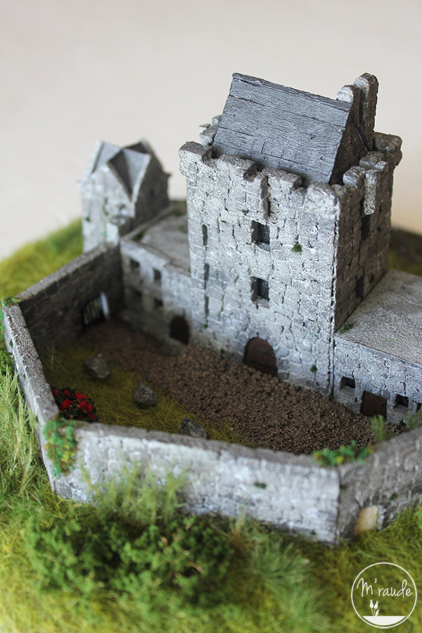 Détail 5 - Château de Dunguaire