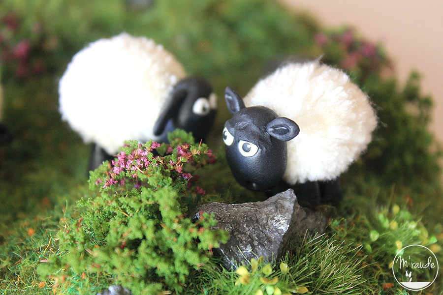 Détail 2 - Moutons d'Irlande