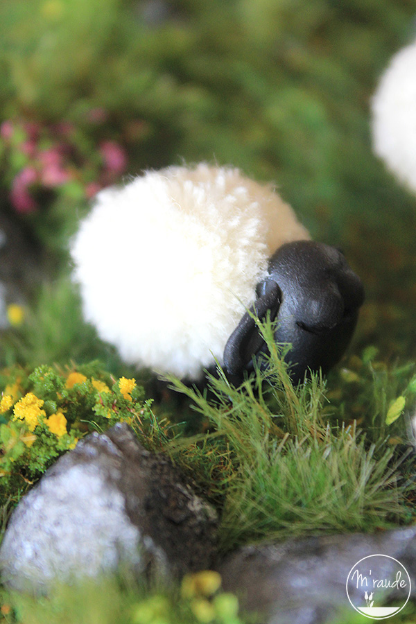 Détail 3 - Moutons d'Irlande