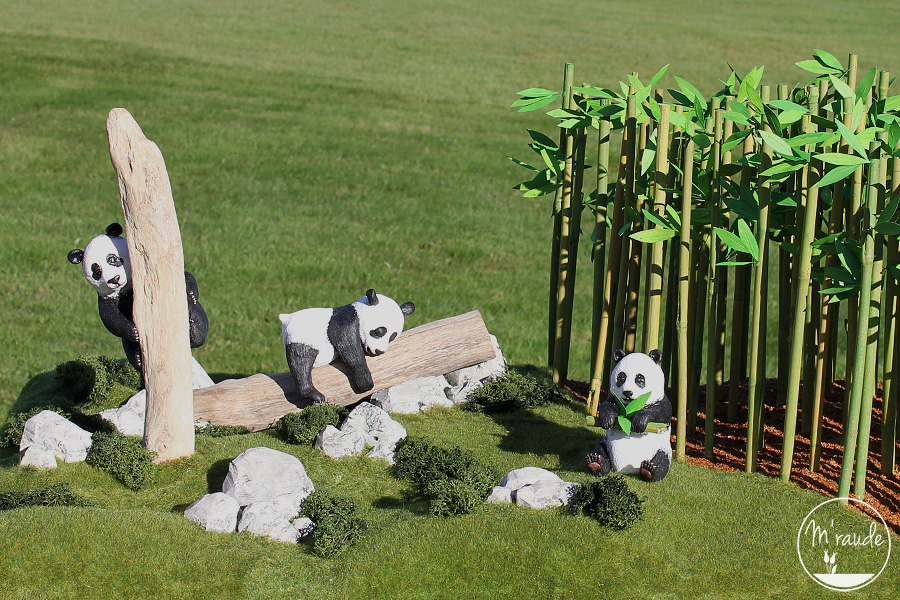 Pandas et forêt de bambous